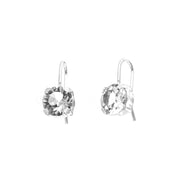 925 Silver Earrings - 1102259