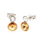 925 Silver Earrings - 1103464