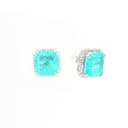 925 Silver Earrings - 1103583