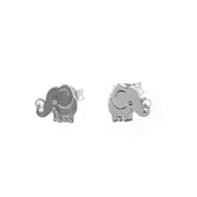 925 Silver Earrings - 1103651