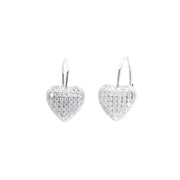 925 Silver Earrings - 1103801